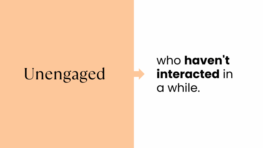 Unengaged email segment: subscribers who haven’t interacted with your ecommerce emails in a while.
